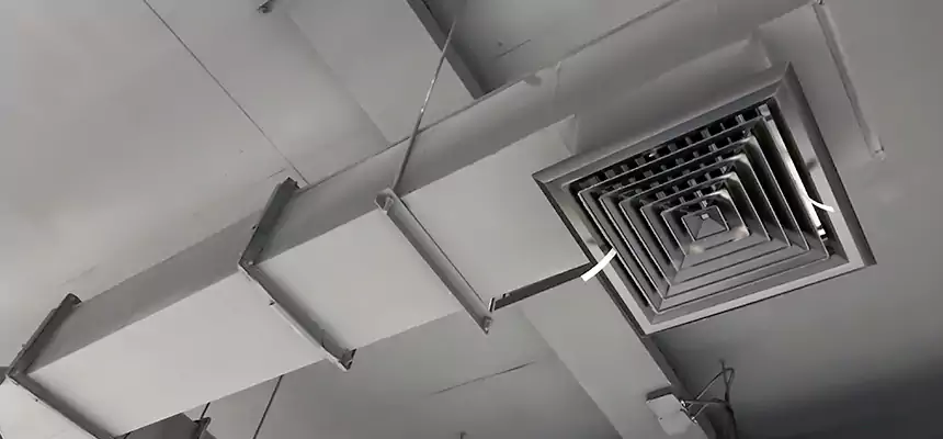 Our Rodent Droppings In Vents Services in Lafayette, CO