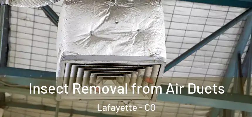  Insect Removal from Air Ducts Lafayette - CO