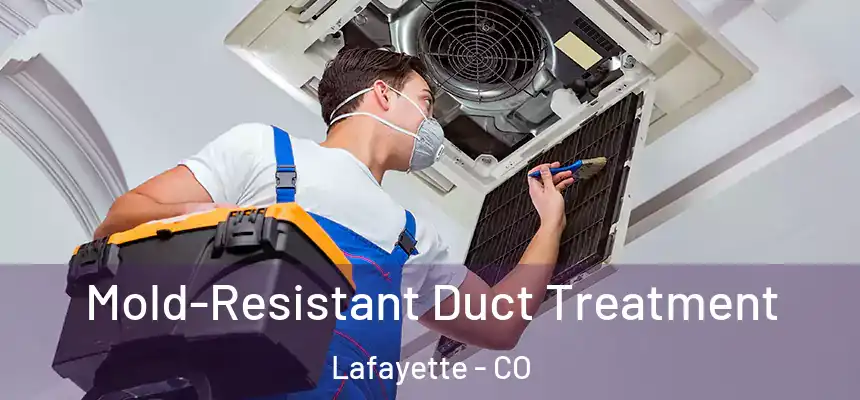  Mold-Resistant Duct Treatment Lafayette - CO