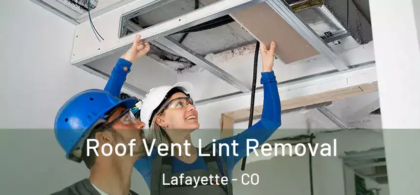  Roof Vent Lint Removal Lafayette - CO