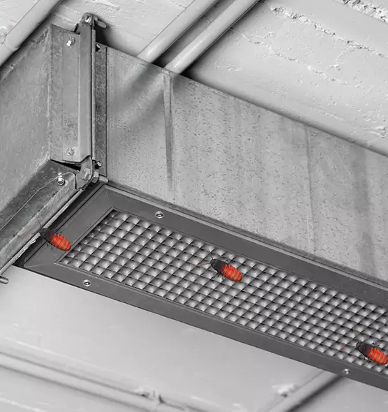 About Air Duct Cockroach Removal in Lafayette, CO