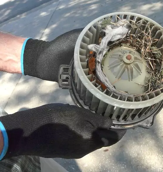 About Air Duct Mice Removal in Lafayette, CO