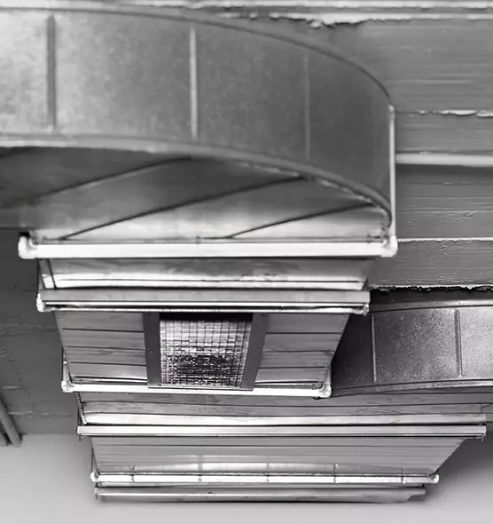 Professional Air Duct Pet Hair Removal in Lafayette, CO