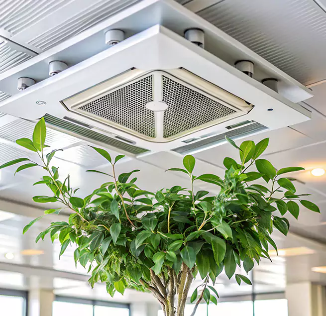 Why Homeowners & Businesses Trust Us in Lafayette, CO?